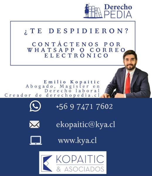 Archivo:Te despidieron derechopedia.jpg